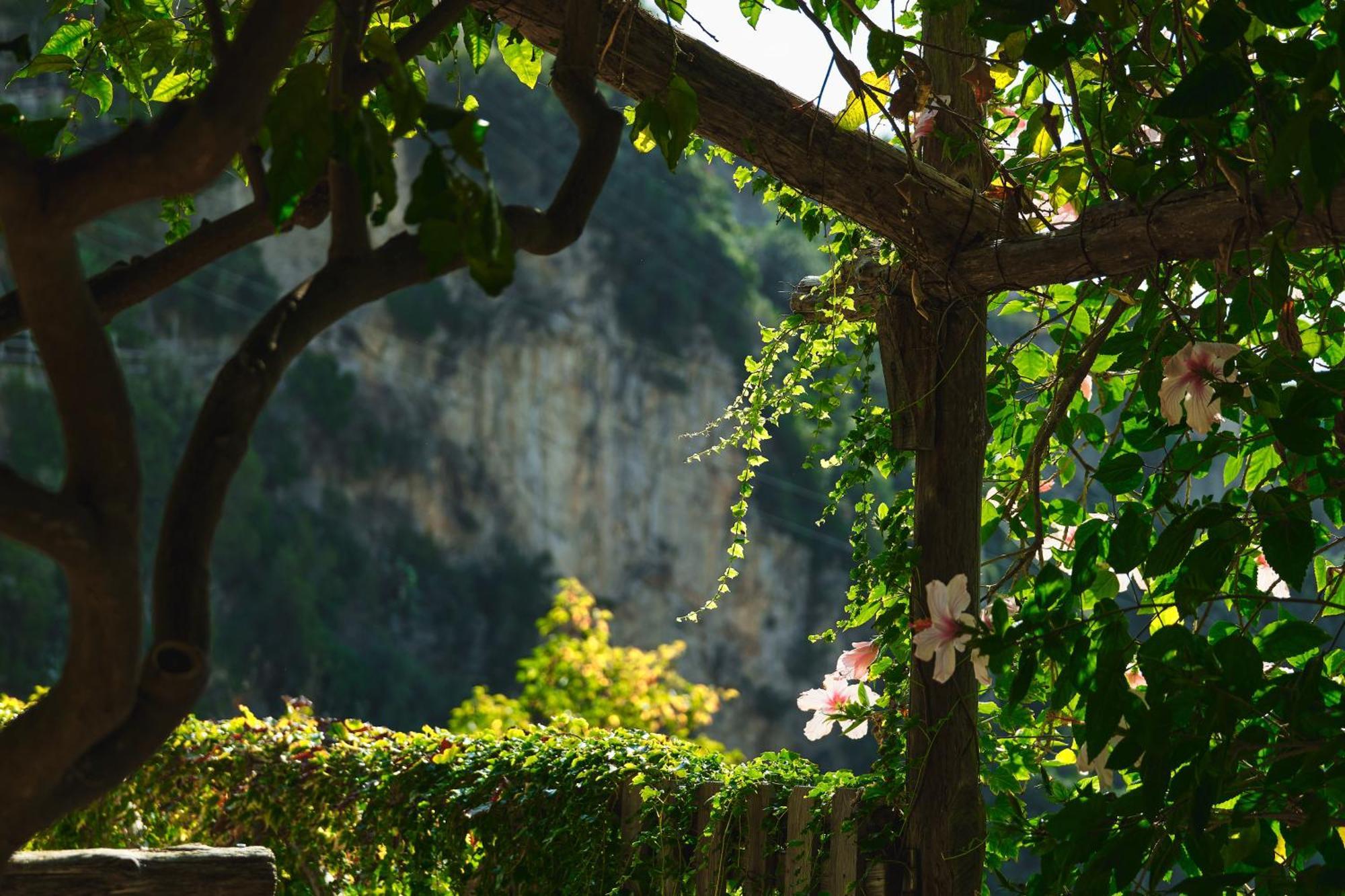 Hotel Botanico San Lazzaro Maiori Exterior foto